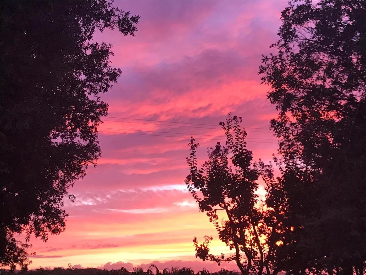 Il Podere Di Sole Roccastrada Εξωτερικό φωτογραφία