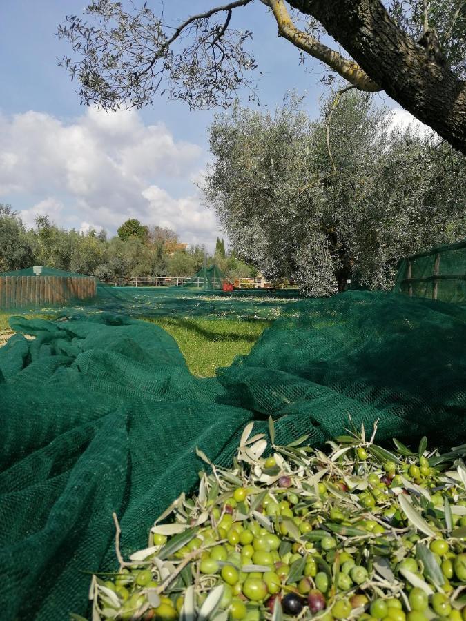 Il Podere Di Sole Roccastrada Εξωτερικό φωτογραφία