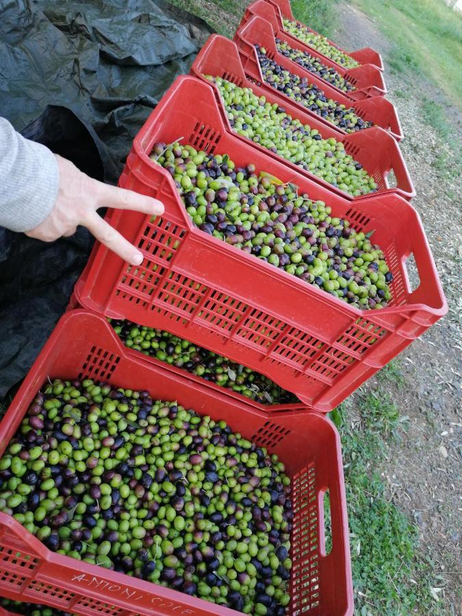 Il Podere Di Sole Roccastrada Εξωτερικό φωτογραφία