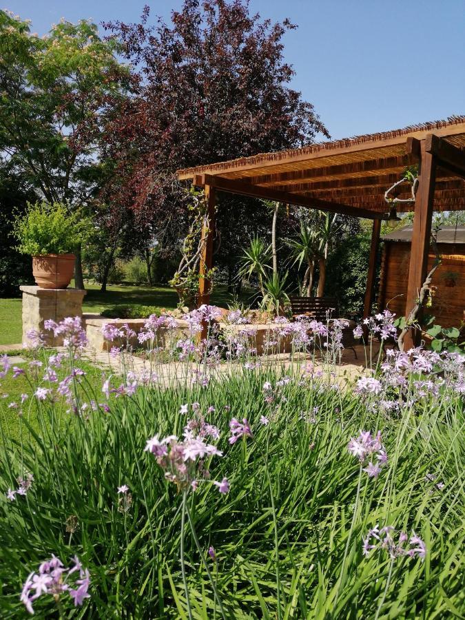 Il Podere Di Sole Roccastrada Εξωτερικό φωτογραφία