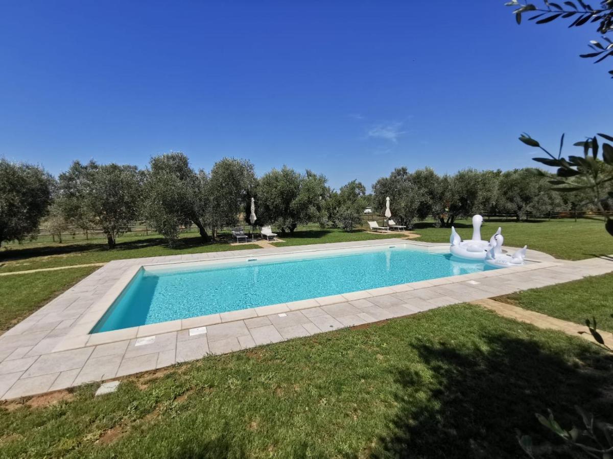Il Podere Di Sole Roccastrada Εξωτερικό φωτογραφία